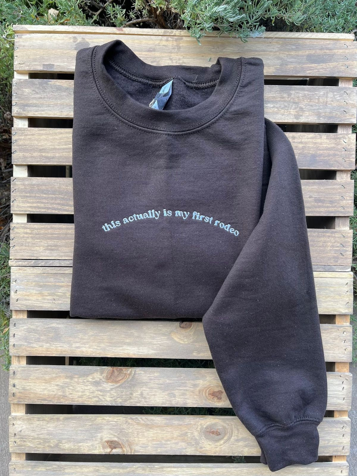 This Actually Is My First Rodeo // Embroidered Sweatshirt