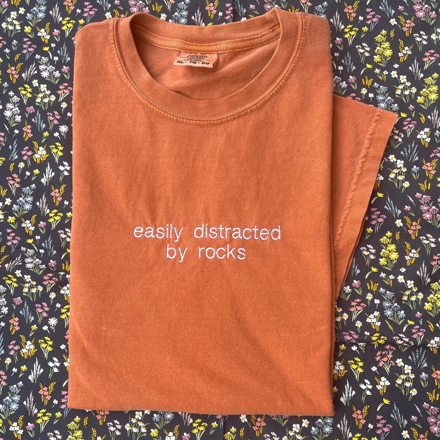 Easily Distracted By Rocks // Cute funny tee for rock lover